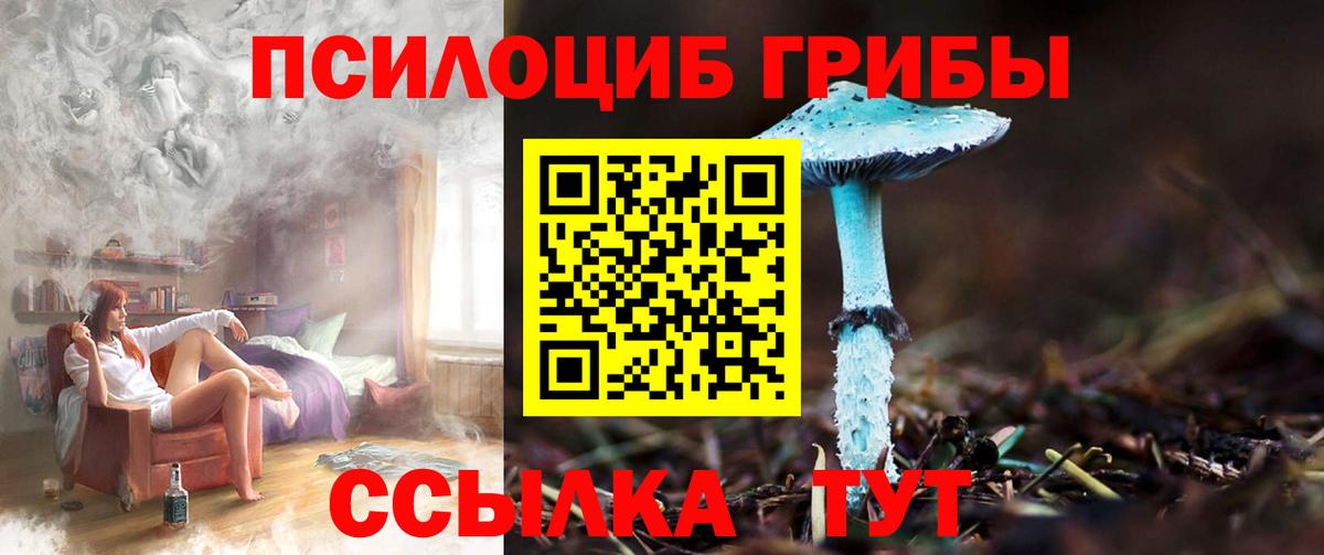 Псилоцибиновые грибы GOLDEN TEACHER Шарыпово