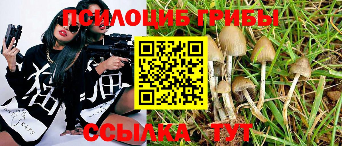 Шарыпово  Псилоцибиновые грибы MAGIC MUSHROOMS  Вход с VPN  купить наркоту  Галлюциногенные грибы прущие грибы 
